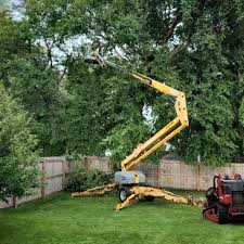 Best Weed Control  in Boone, NC