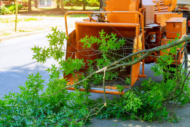 Best Lawn Grading and Leveling  in Boone, NC