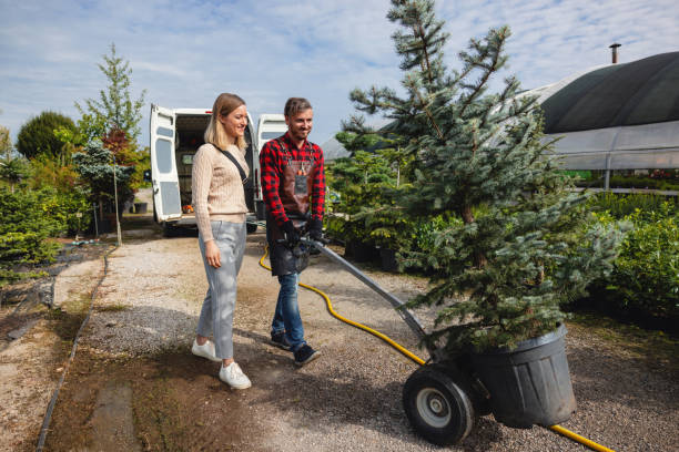 Best Tree and Shrub Care  in Boone, NC